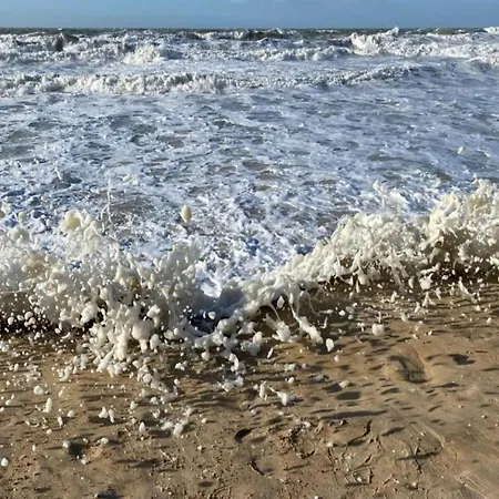 Apartamento In Near The *